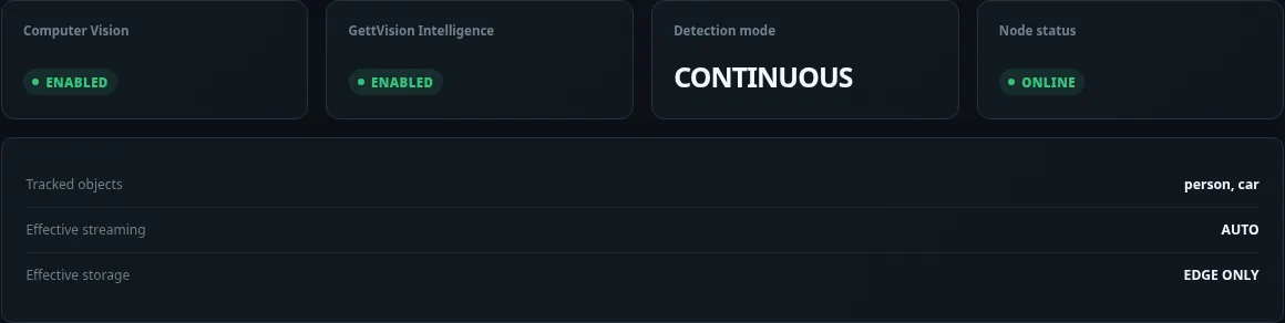 GettVision Central camera summary with illustrative Driveway settings.